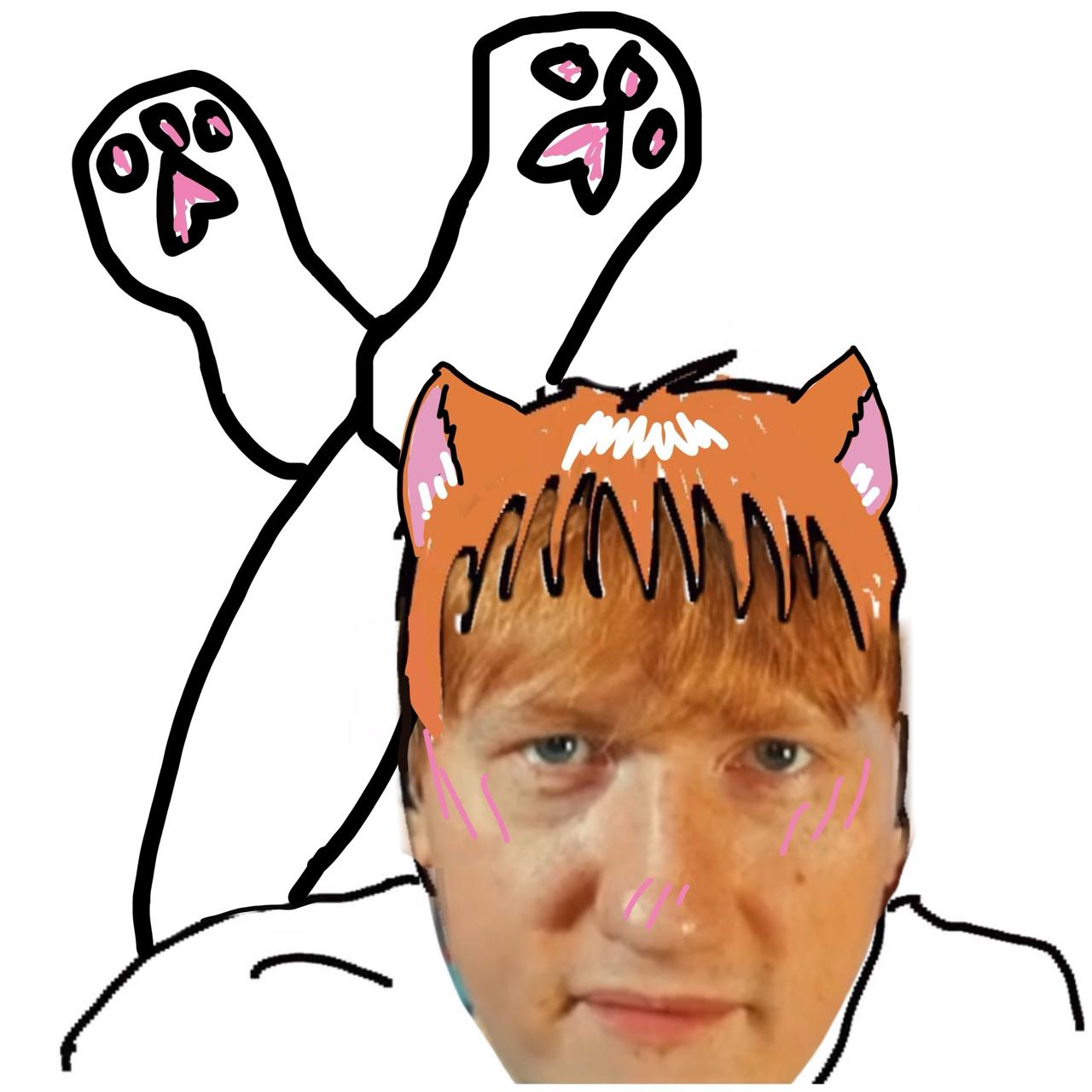 кот